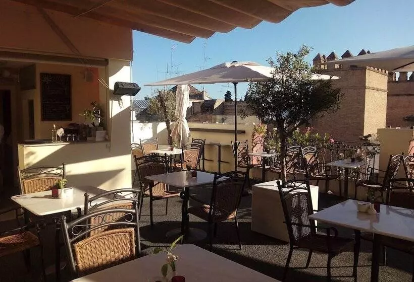 Fotos del hotel Palacio Alcázar:  18