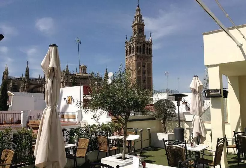 Fotos del hotel Palacio Alcázar:  16