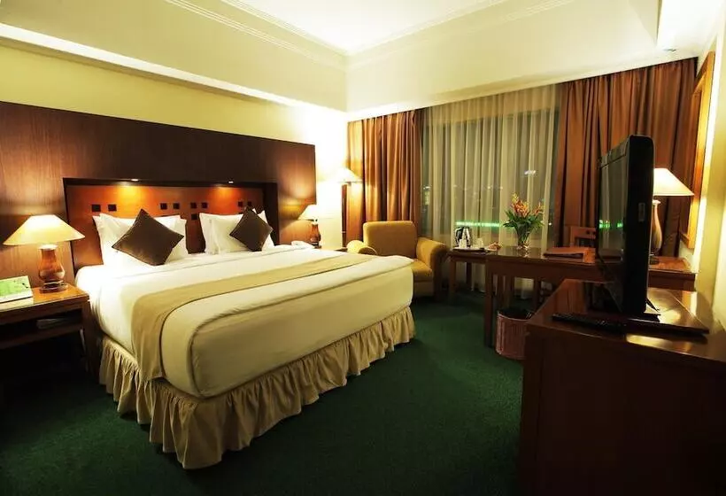 Fotos del hotel Oasis Amir:  23