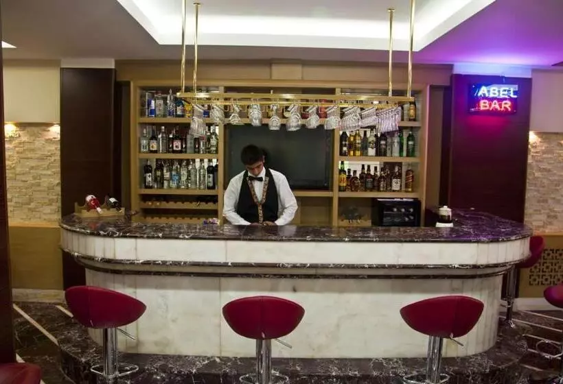 Fotos del hotel Abel:  6