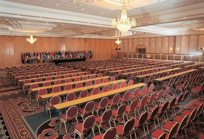 Fotos del hotel Safari:  8