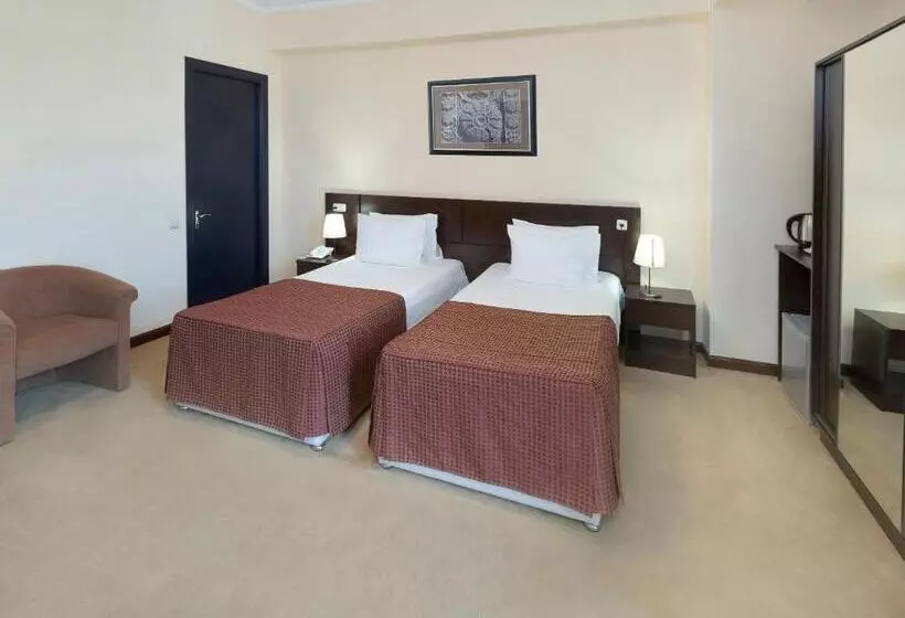 Fotos del hotel Ani Central Inn:  20