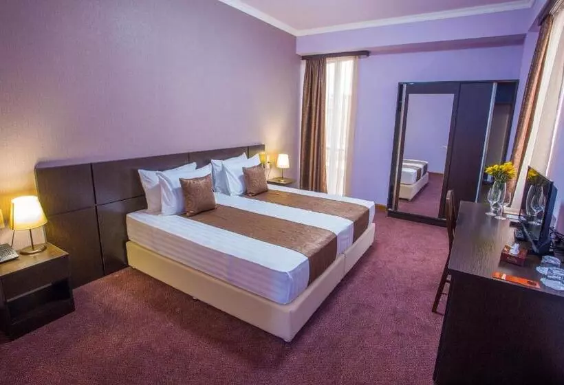 Fotos del hotel Ani Central Inn:  16