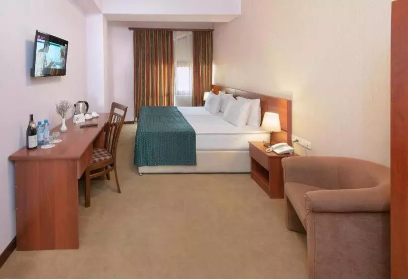 Fotos del hotel Ani Central Inn:  14