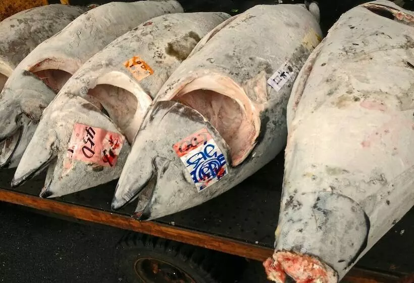 Fotos del hotel Apa  Tsukijiekiminami:  5