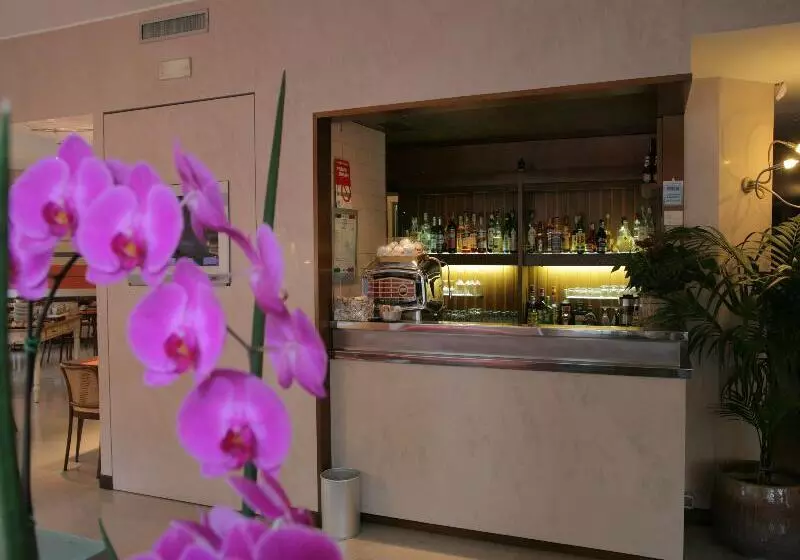 Fotos del hotel Park Hotel Meublé:  21