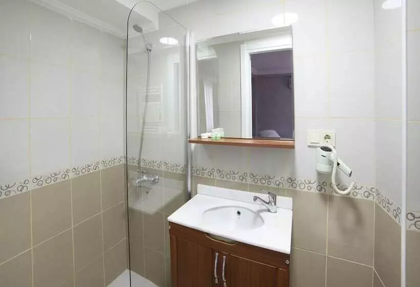 Fotos del hotel Serenity Boutique Hotel Istanbul:  14