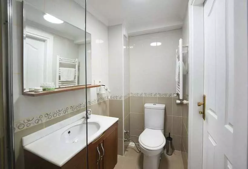 Fotos del hotel Serenity Boutique Hotel Istanbul:  4