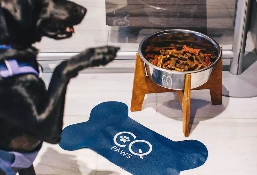 Fotos del hotel Club Quarters Hotel, Grand Central:  15