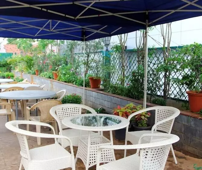 Fotos del hotel Safina:  5