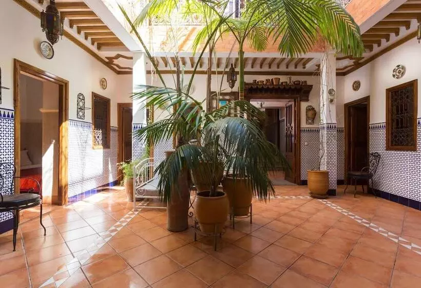 Fotos del hotel Atlas:  11