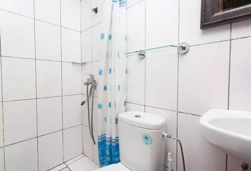 Fotos del hotel Atlas:  9