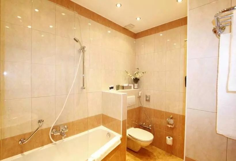 Fotos del hotel Corvinus:  18