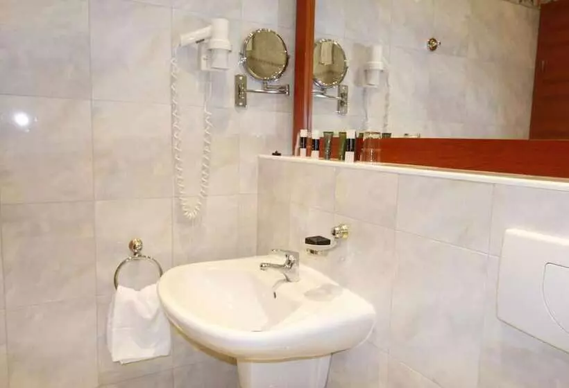 Fotos del hotel Corvinus:  15