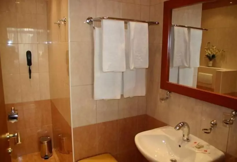 Fotos del hotel Corvinus:  23