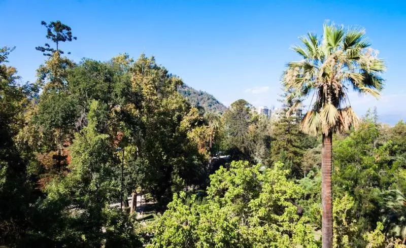 Fotos del hotel Ismael:  11