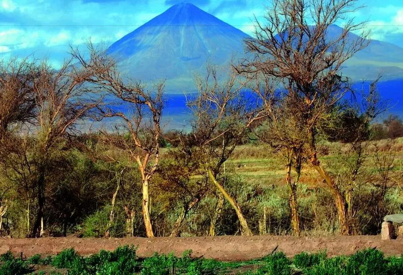 Fotos del hotel Tierra Atacama  & Spa:  12