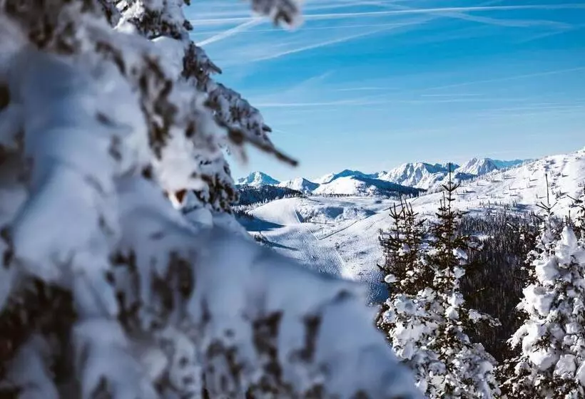 Fotos del hotel B&b  Die Barbara:  8