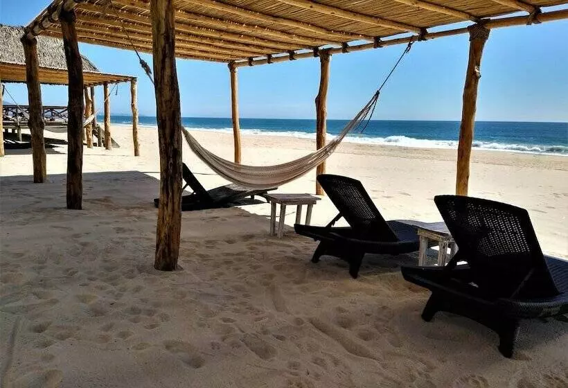 Fotos del hotel Barraco:  13