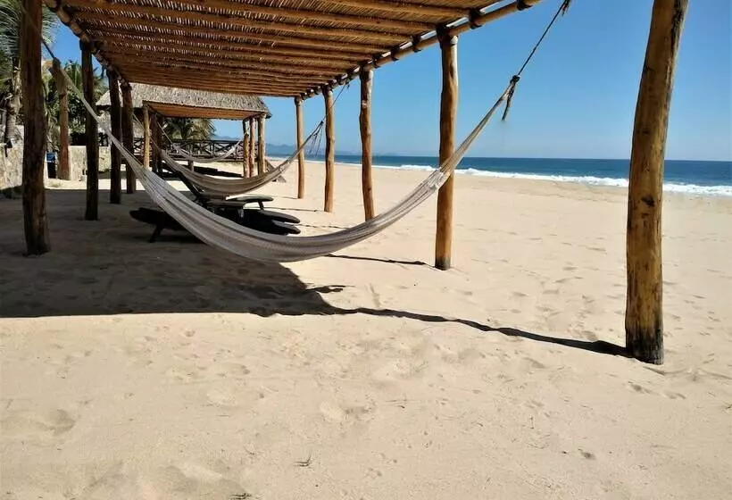 Fotos del hotel Barraco:  14