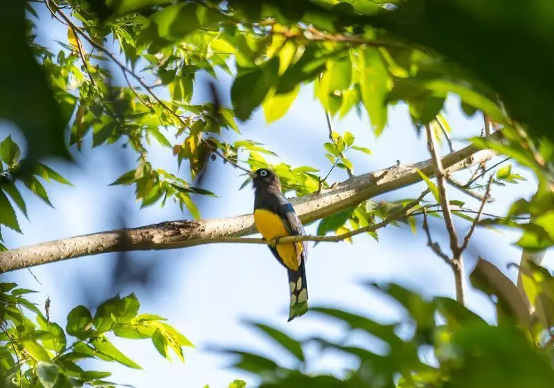 Fotos del hotel Bolontiku Hotel Boutique:  5