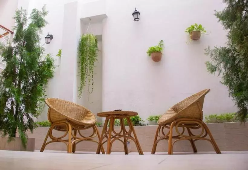 Fotos del hotel Arthur House:  5