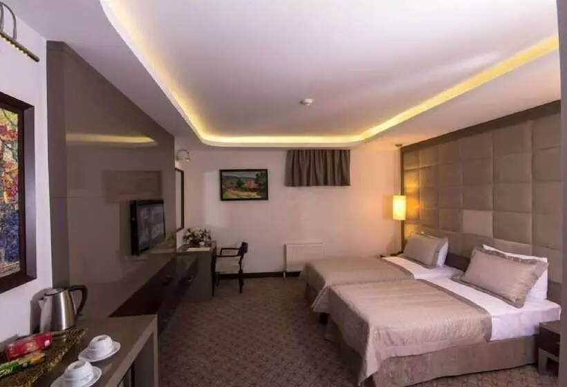 Fotos del hotel Eretna:  11