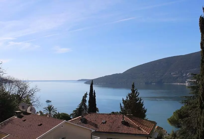 Fotos del hotel Guest House Tomanovic:  12