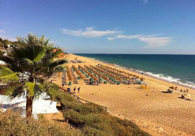 Fotos del hotel Solgarve:  3