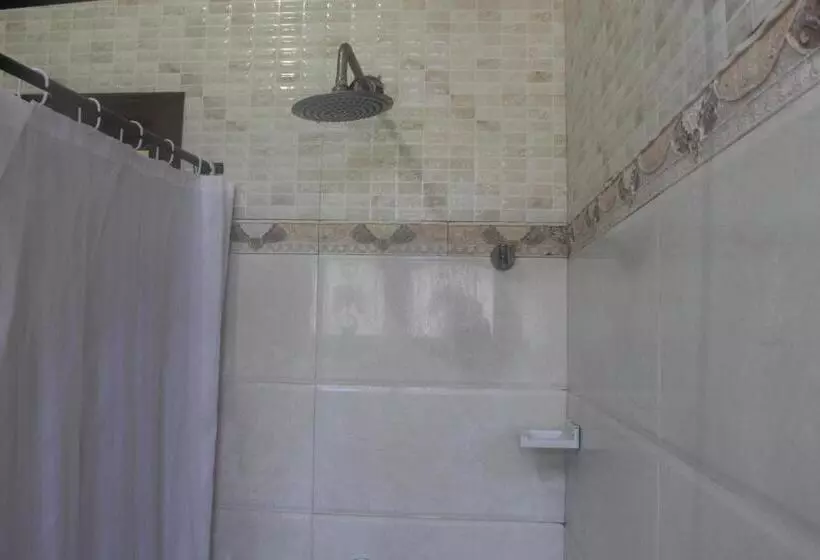 Fotos del hotel Alminar:  17