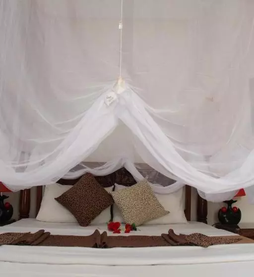 Fotos del hotel Alminar:  24