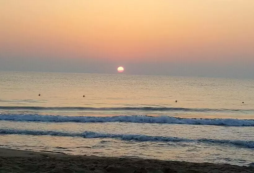 Fotos del hotel Palace  Costa Del Sole:  8