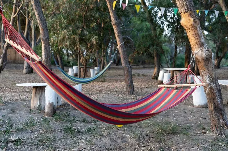 Fotos del hotel Palace  Costa Del Sole:  12