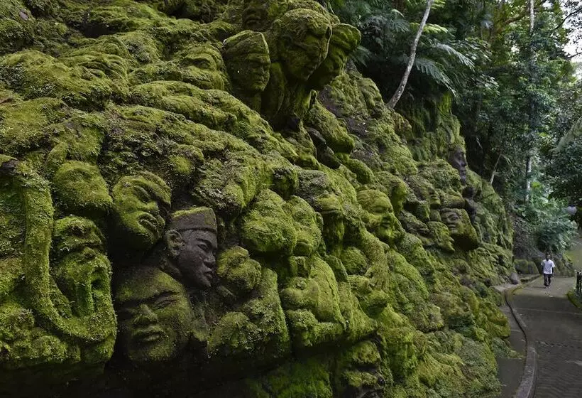 Fotos del hotel Ayung Resort Ubud:  11