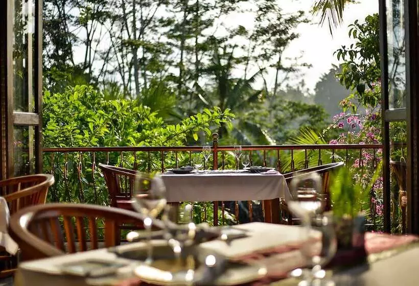 Fotos del hotel Ayung Resort Ubud:  20