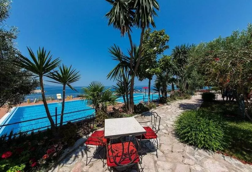 Fotos del hotel Bahamas:  25