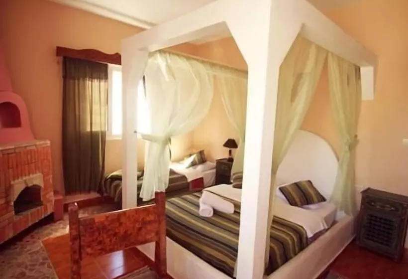 Fotos del hotel Dar Mounia:  12