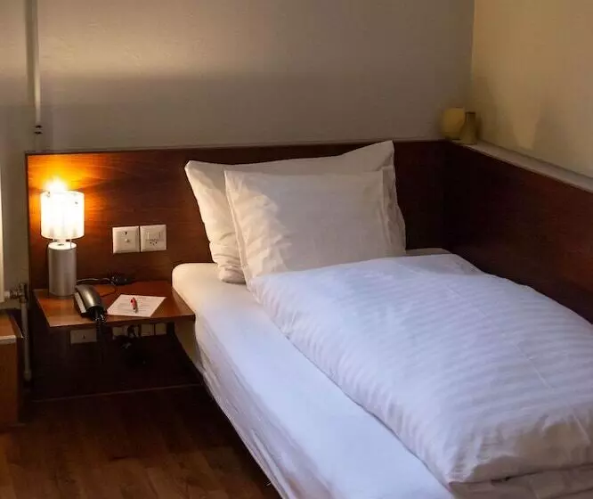 Fotos del hotel Goldener Schlüssel:  16