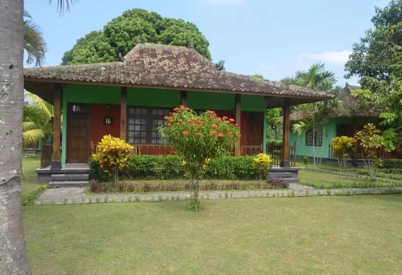 Fotos del hotel Poeri Devata:  11