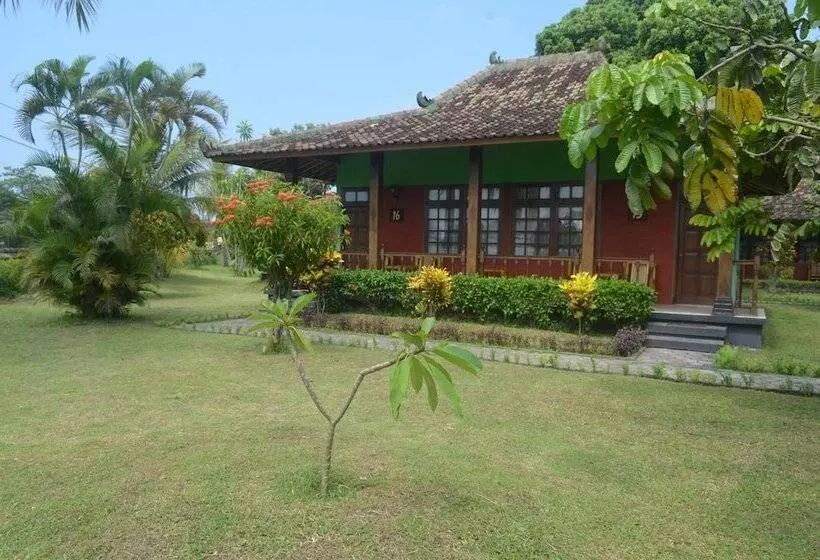 Fotos del hotel Poeri Devata:  15