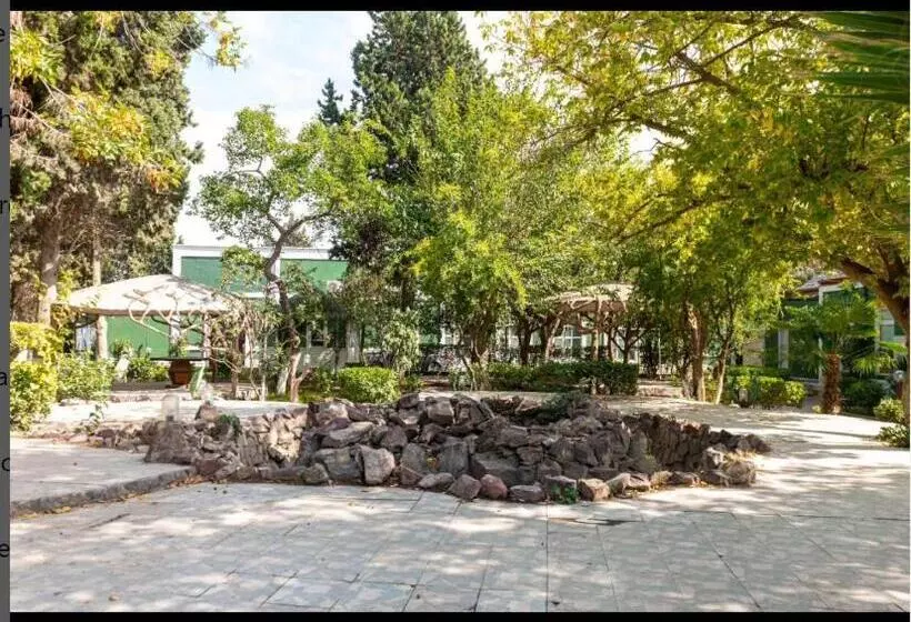 Fotos del hotel Titanik:  8