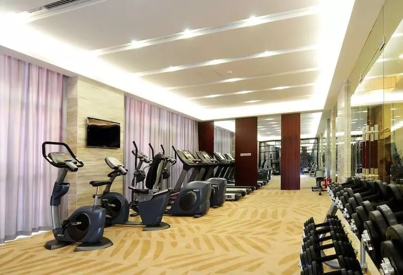 Fotos del hotel Henan Skyland Gdh:  4