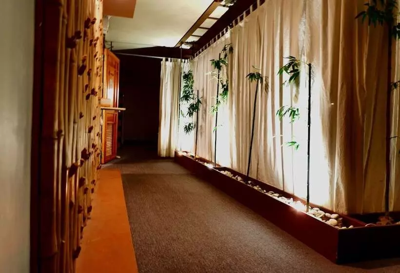 Fotos del hotel Holiday Spa:  3