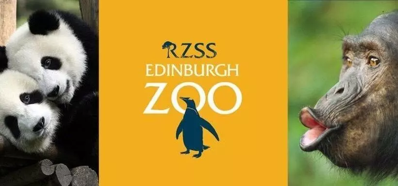 Fotos del hotel No32:  17