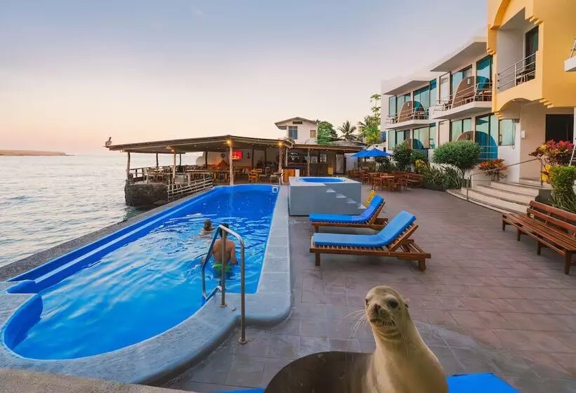 Fotos del hotel Solymar:  25