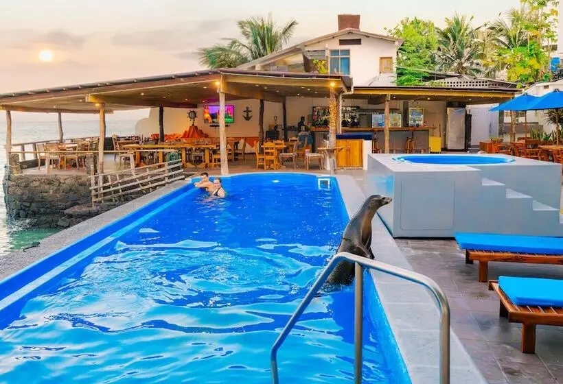 Fotos del hotel Solymar:  3