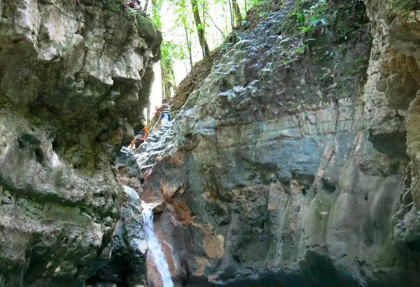 Fotos del hotel Blue Jacktar:  10