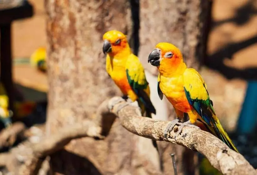 Fotos del hotel Khaoyai Kiri Thantip Resort:  6