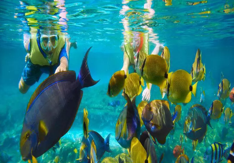 Fotos del hotel Le Vieux Nice Inn:  2