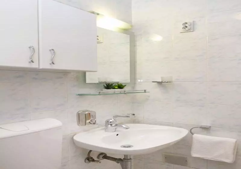 Fotos del hotel Studio Skadarlija 3:  3